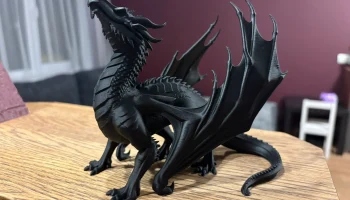 DRAGON 6