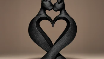 Cat's Love