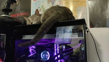 Платформа Cat для ПК в корпусе Tower 2