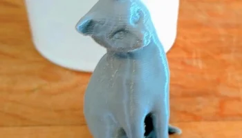 Сидящий любопытный кот