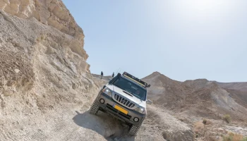 Крышка светодиодного фонаря Hyundai Terracan............ 8