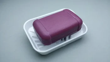 Soap Dish 1