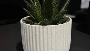 Flower Pot 1
