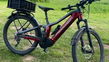 Кеттеншуц для Trek Powerfly 1