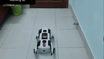 Четвероногий II
