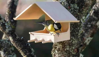 Mangeoire &agrave; oiseaux Support boule de graisse / Держатель ...