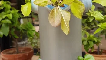 Ультрапонный башенный сад 1