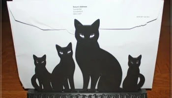 Cat Stand 4