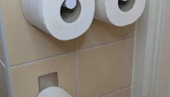 Двойной держатель туалетной бумаги - простая конструкция ... 2