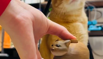 Oiia Oiia Cat мем-спиннер 2