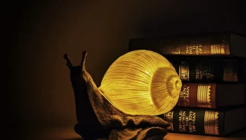 Snail lamp Snail lamp