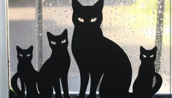 Cat Stand Cat Stand
