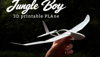 Самолет Jungle Boy для 3D-печати 0