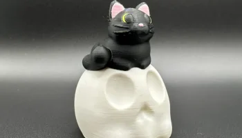 Черная кошка на черепе 2