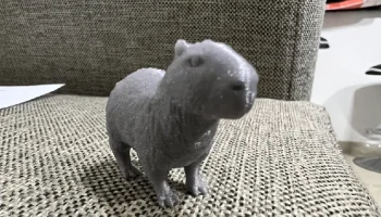 Capibara 1