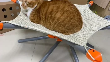кошачий гамак (кошачья лежанка) 2