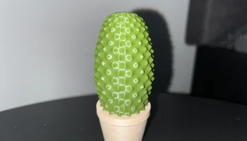 Cactus set 4