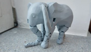 Elephant 2