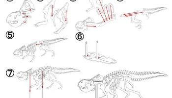 Набор 3Dino Puzzle Museum DX, том 2 4