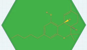 Настенное изображение молекулы THC - химическая структура... 1