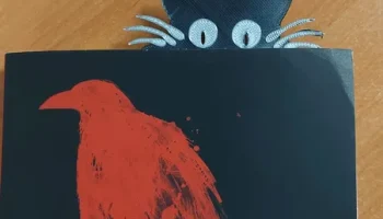 Выглядывающий кот Закладка