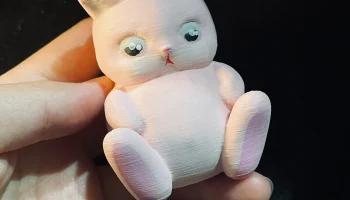 Chubby Cat