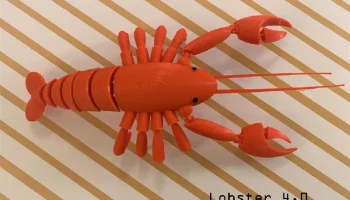 Шарнирный омар 3