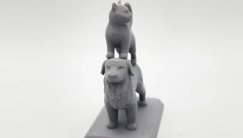 Кот, стоящий на фигурке собаки 2
