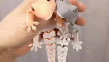 Flexi Gecko - Шарнирная игрушка