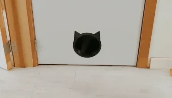 Дверца для кошки / дверца для кошки...