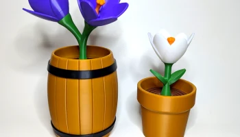 Crocus Flower - Весенняя цветочная коллекция............ Crocus Flower - Весенняя цветочная коллекция............