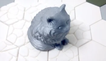 Fluffy Cat 2
