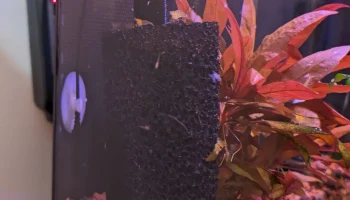 Впускной адаптер для Fluval 107-207, подходящий для губки...
