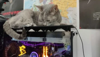 Платформа Cat для ПК в корпусе Tower 4