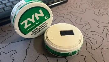 ZYNтастический чехол для Heltec v3 3