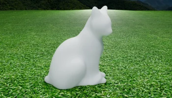 Cat 2