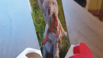 Подставка для фотографий ко Дню святого Валентина.........