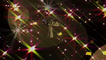 Mushroom 2