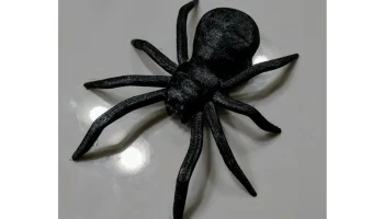 Spider