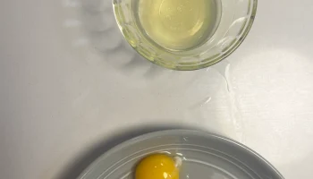 Сепаратор яиц