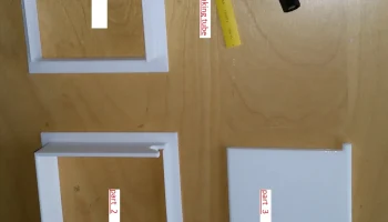 cat door 1