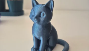 Cute Cat 1