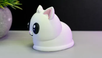 Cute Cat 2
