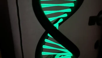 Светодиодная RGB-лампа с двойной спиралью ДНК - разъем Mi.. 1