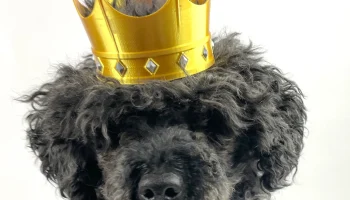 CROWN 1