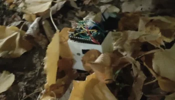 Давид Поповичи Микро Сумо 3