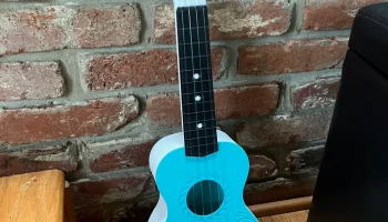 Сопрано укулеле (различные орнаменты)......