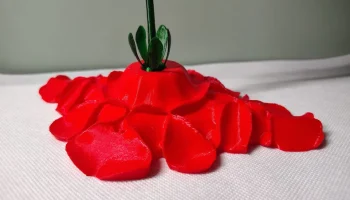 Гравитационная Роза 2