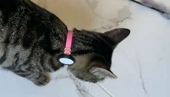 Зажим для кошачьего ошейника AirTag 1