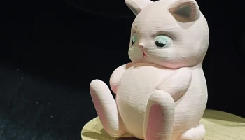 Chubby Cat 3